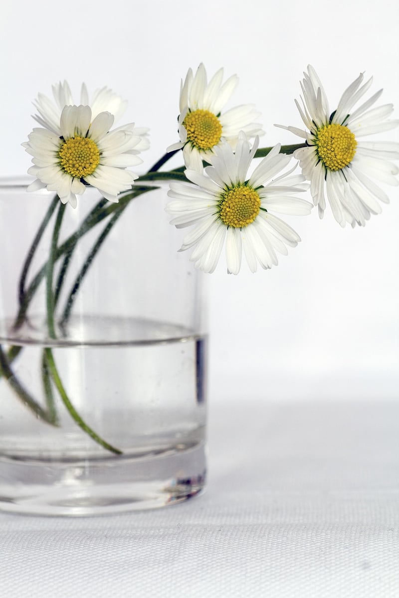 Colorful flowers in a vase
